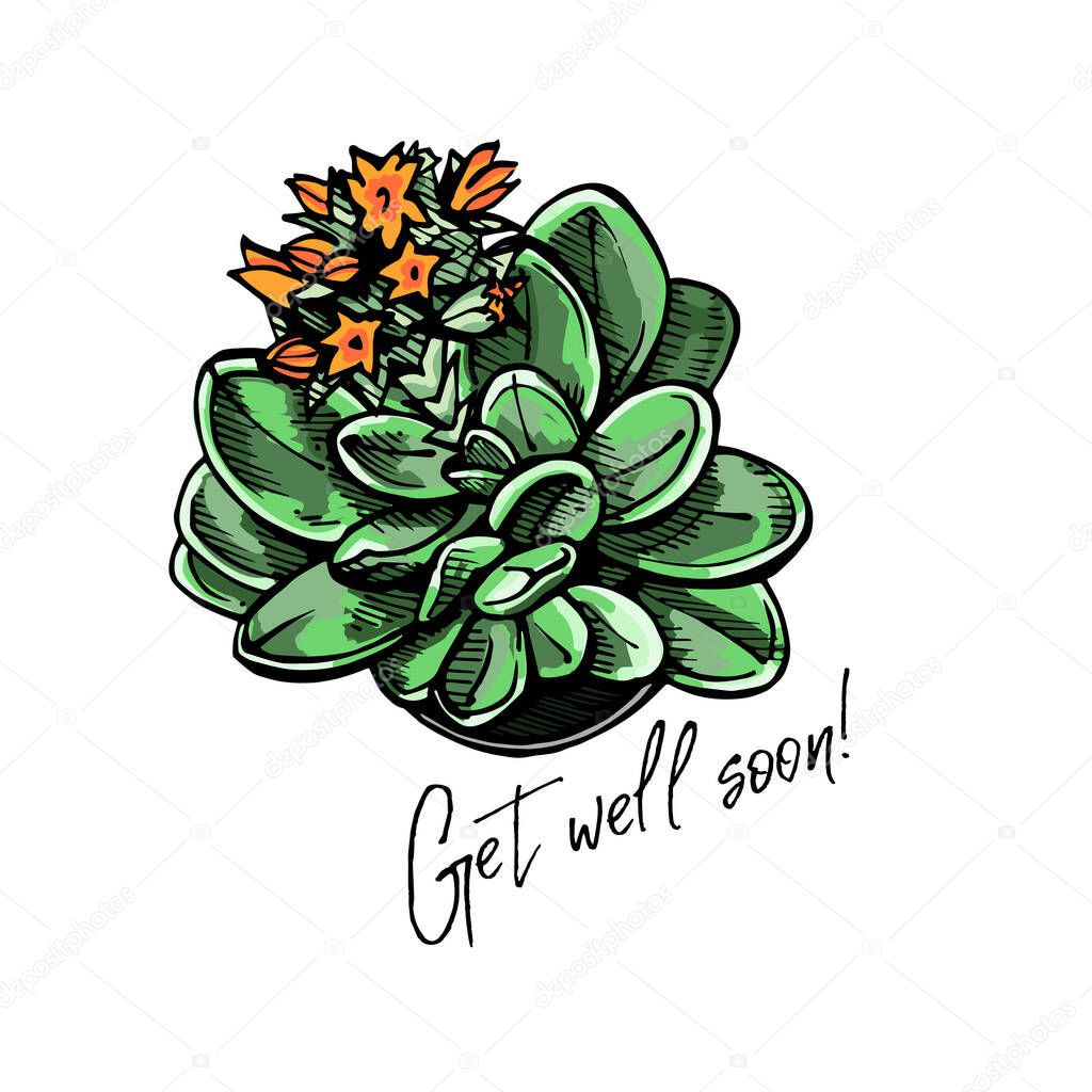 Hand drawn colored greeting card with flat lay ink succulent and handwritten text isolated on white background. Inscription: Get well soon. Vector illustration