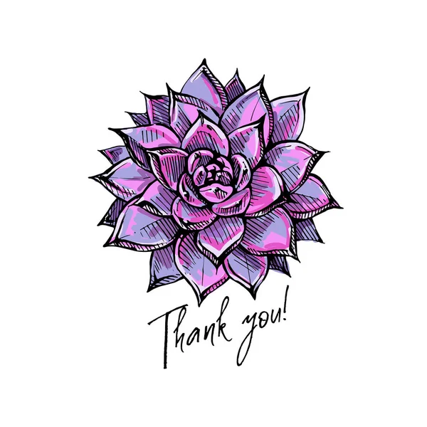 Handdrawn Colored Greeting Card Flatlay Ink Succulent Handwritten Text Isolated Royalty Free Stock Illustrations