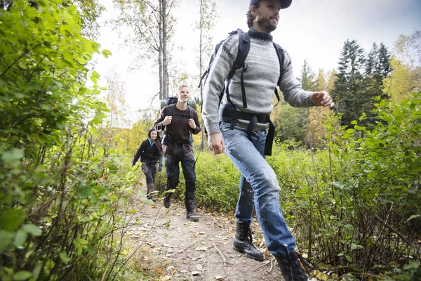 Молода людина з друзями, походи на лісовими стежками — стокове фото