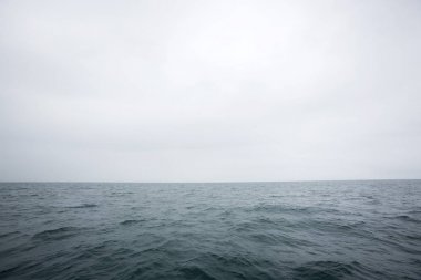 Deniz doğal görünümü