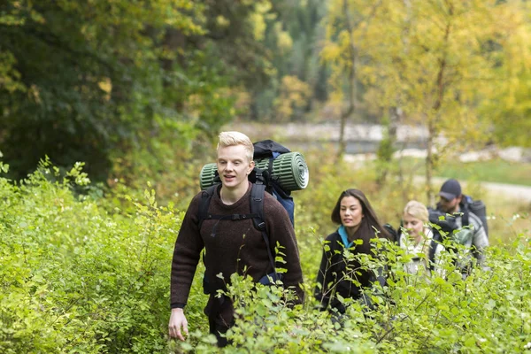 Caminhante com amigos caminhando em meio a plantas na floresta — Fotografia de Stock