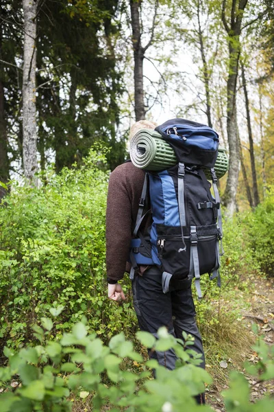 Uomo con zaino escursionismo nella foresta — Foto Stock