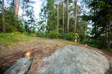 Ağaçlar kayaya tealight mum