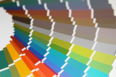 Pantone renk boya için