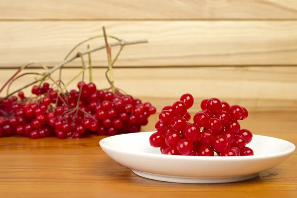 Berries red currants — Stock Photo, Image