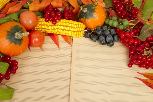 Colheita de outono de frutos e bagas — Fotografia de Stock