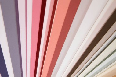 Pantone renk boya için