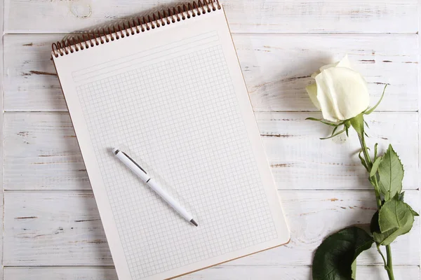 Cuaderno con pluma y rosa — Foto de Stock