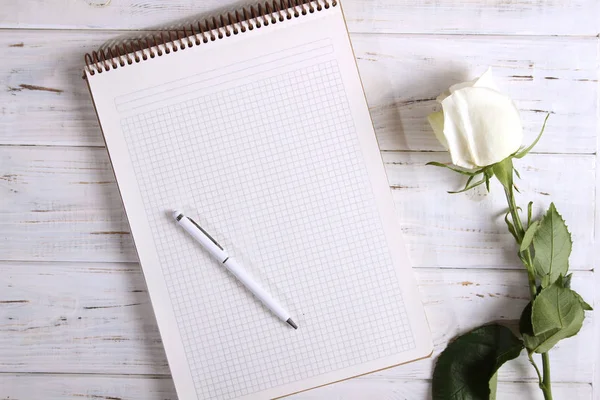 Cuaderno con pluma y rosa — Foto de Stock