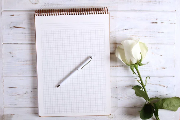 Cuaderno con pluma y rosa — Foto de Stock