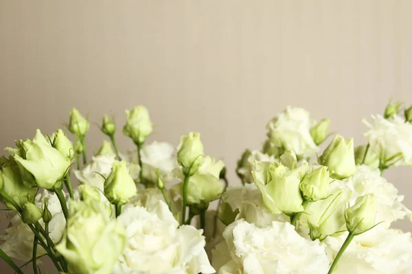 Roses blanches à l'intérieur — Photo