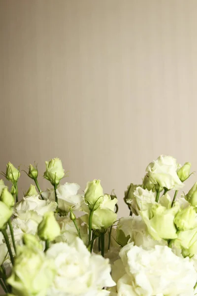 White roses lie on a red background — ストック写真