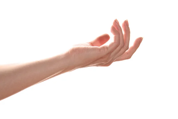 Vrouwelijke Europese Hand Met Palm Omhoog Geïsoleerd Witte Achtergrond — Stockfoto
