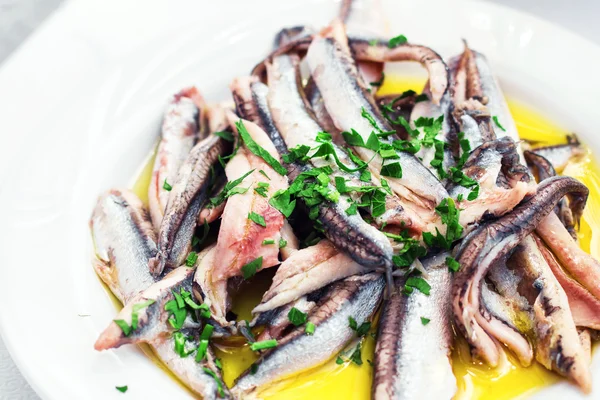 Marinated anchovies in olive oil (selective focus) — Stockfoto