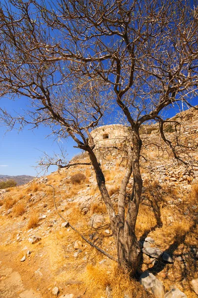 Ruinerna av en befäst spetälsk koloni - ön Spinalonga (Kalydon), Grekland — Stockfoto
