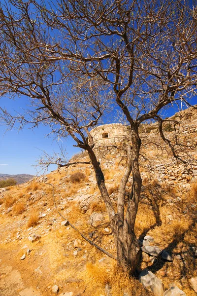 Antik kalıntıları bir müstahkem cüzam kolonisi - Spinalonga (Kalydon) Island, Yunanistan