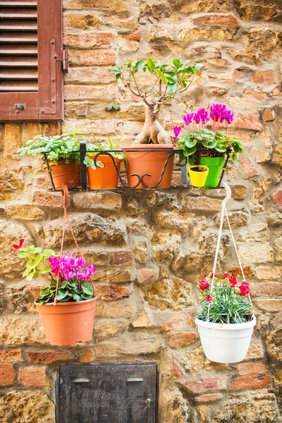 Details of the medieval town of San Gimignano - decorative flower pots hanging on a wall — Stock Photo, Image