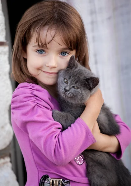 Nós somos um gato muito bonito . — Fotografia de Stock