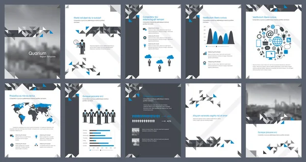 Elementi di infografica per i modelli di report e di presentazioni — Vettoriale Stock