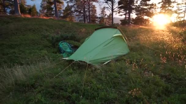 Acampar na floresta durante o pôr do sol ou nascer do sol. Luz solar brilhante . — Vídeo de Stock