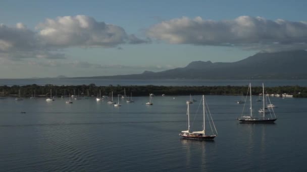 Viele Segelboote mit Bergen im Hintergrund in einer wunderschönen Bucht von pointe eine Grube. Guadeloupe — Stockvideo
