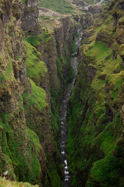 纳河峡谷。 冰岛峡谷的绿意盎然. 多雾的天气,海鸥在悬崖峭壁上飞翔 — 图库照片