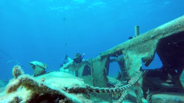 Freediver pływanie wokół rozbitego samolotu — Wideo stockowe