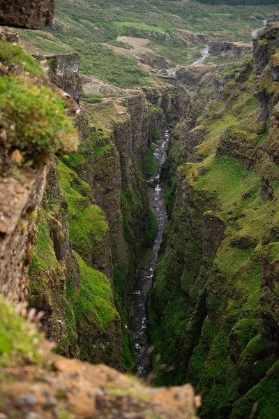 Botsna River Canyon. Úžasná zelená krajina Islandského kaňonu. Fantastické mlhavé počasí, racci vznášející se nad útesy — Stock fotografie