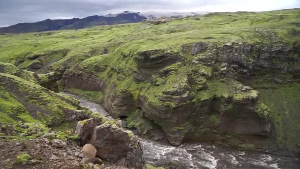 Zeitlupe des Flusses in der grünen Schlucht Islands. — Stockvideo