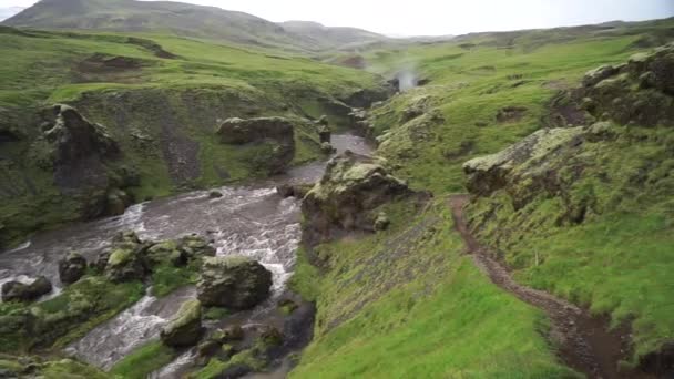 Lassú mozgás a folyó a zöld kanyonban Izlandon. — Stock videók