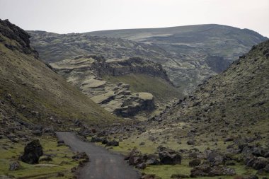 Eldgja Kanyonu İzlanda 'nın dağlık bölgelerinde yosun ile kaplıdır.