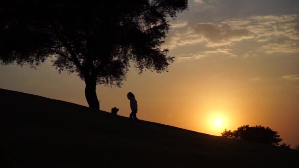 Silhueta de crianças subindo pela colina em direção à árvore ao pôr do sol em câmera lenta — Vídeo de Stock