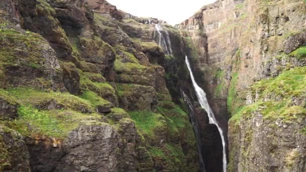 Glymur, the second highest waterfall in Iceland — Stok video