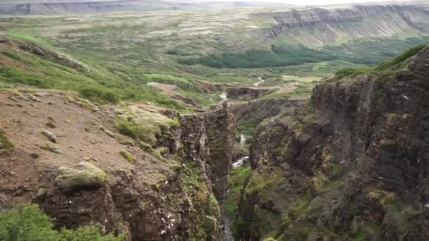 Botsna River Canyon. Úžasná zelená krajina Islandského kaňonu. Fantastické mlhavé počasí, racci vznášející se nad útesy — Stock video