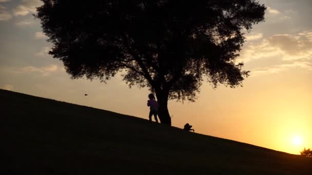 Silhueta de menina subindo colina perto de árvore grande ao pôr do sol em câmera lenta — Vídeo de Stock