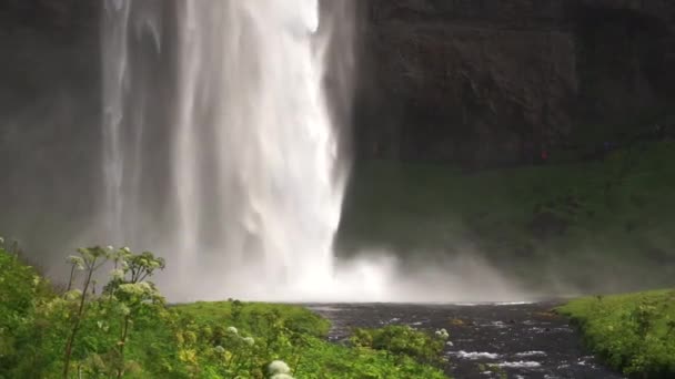 여름 동안 천천히 움직이는 아름다운 폭포 Seljalandsfoss 입니다. 아이슬란드 — 비디오