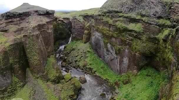 Krásná řeka v kaňonu na Islandu obklopená zeleným útesem na turistické stezce Fimmvorduhals. — Stock video