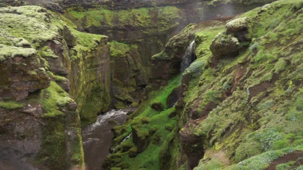 Mouvement lent de la belle rivière dans le canyon vert avec une petite cascade en Islande . — Video