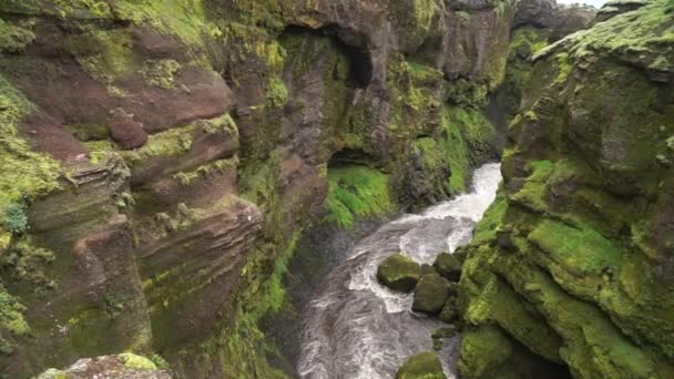 Αργή κίνηση του ποταμού στο πράσινο φαράγγι στην Ισλανδία. — Αρχείο Βίντεο