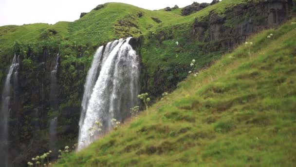 Bela cachoeira Seljalandsfoss em câmera lenta durante o verão. Islândia — Vídeo de Stock