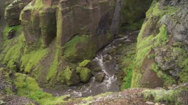 İzlanda 'daki yeşil kanyonda nehrin yavaş akışı.