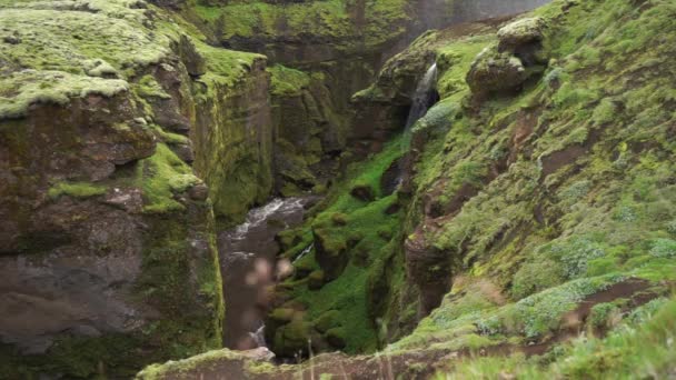 İzlanda 'daki küçük şelaleli yeşil kanyondaki güzel nehrin yavaş akışı.. — Stok video