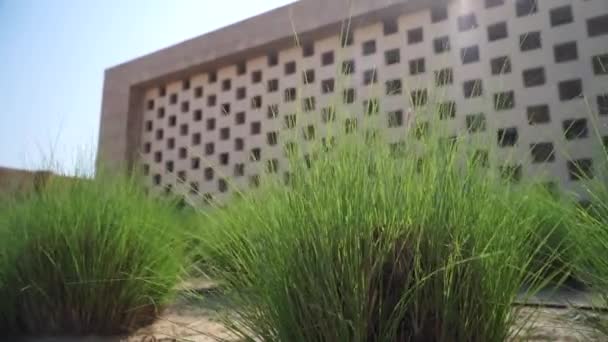 Doha, Qatar - View of blurred building in Education city with green grass foreground — 비디오