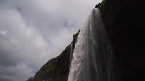 Vackra vattenfall Seljalandsfoss i slow-motion under sommaren. Island — Stockvideo
