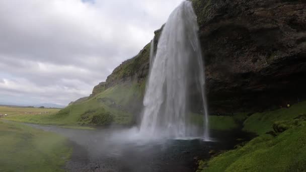 Bela cachoeira Seljalandsfoss em câmera lenta durante o verão. Islândia — Vídeo de Stock