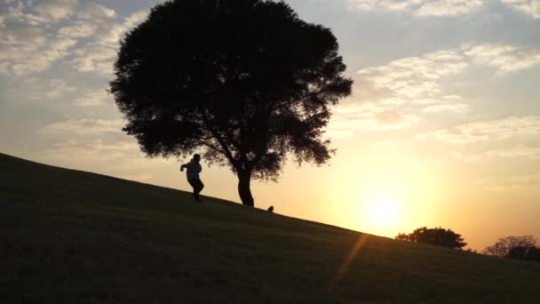 遅い動きで日没で大きな木の近くで下り坂を実行している子供のシルエット — ストック動画