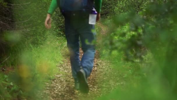 Movimento lento do homem usando uma mochila andando por uma floresta verde em um caminho de caminhada durante o dia — Vídeo de Stock