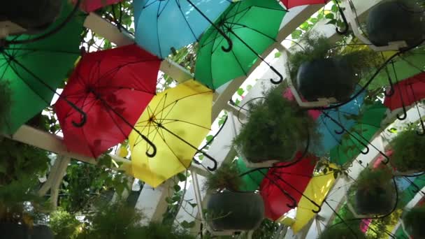 La voûte fleurie et parapluie colorée de la gare de Corniche. Doha, Qatar — Video