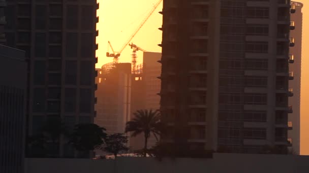 Grues à tour sur le chantier et le fond de la ville pendant le coucher du soleil — Video