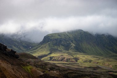 Laugavegur yürüyüş parkurunda yosun ve dağ zirvesi olan yeşil alan, İzlanda